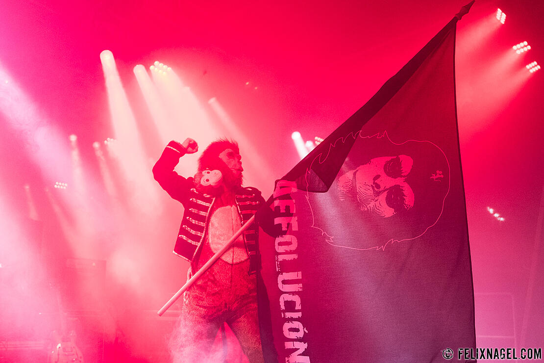 Die Gribaldies beim Besser als Nix Festival 2022