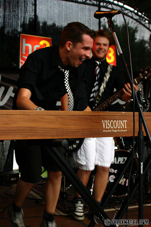 Die Friedberger Ska Band 'Evil Cavies' auf dem Soundgarden Festival 2008 in Friedberg (Hessen) 